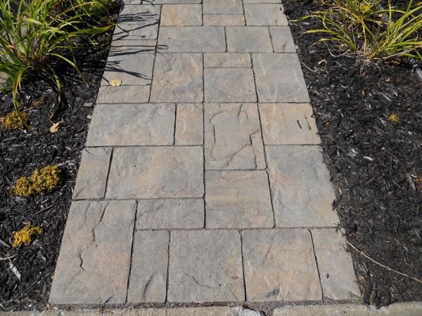 Stamped Concrete Staining in Boulder
